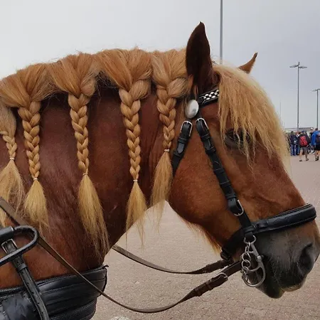 Apartamento Mien Tohuus, Moewenburg Baltrum