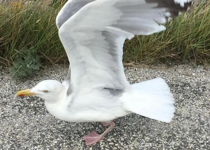 Apartamento Mien Tohuus, Moewenburg *